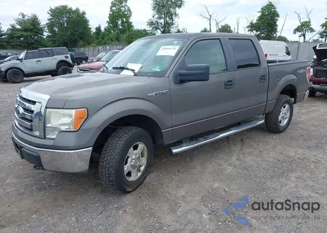 2010 Ford F-150 Xl/Xlt z USA, uszkodzony, nr VIN 1FTEW1E89AFA29293